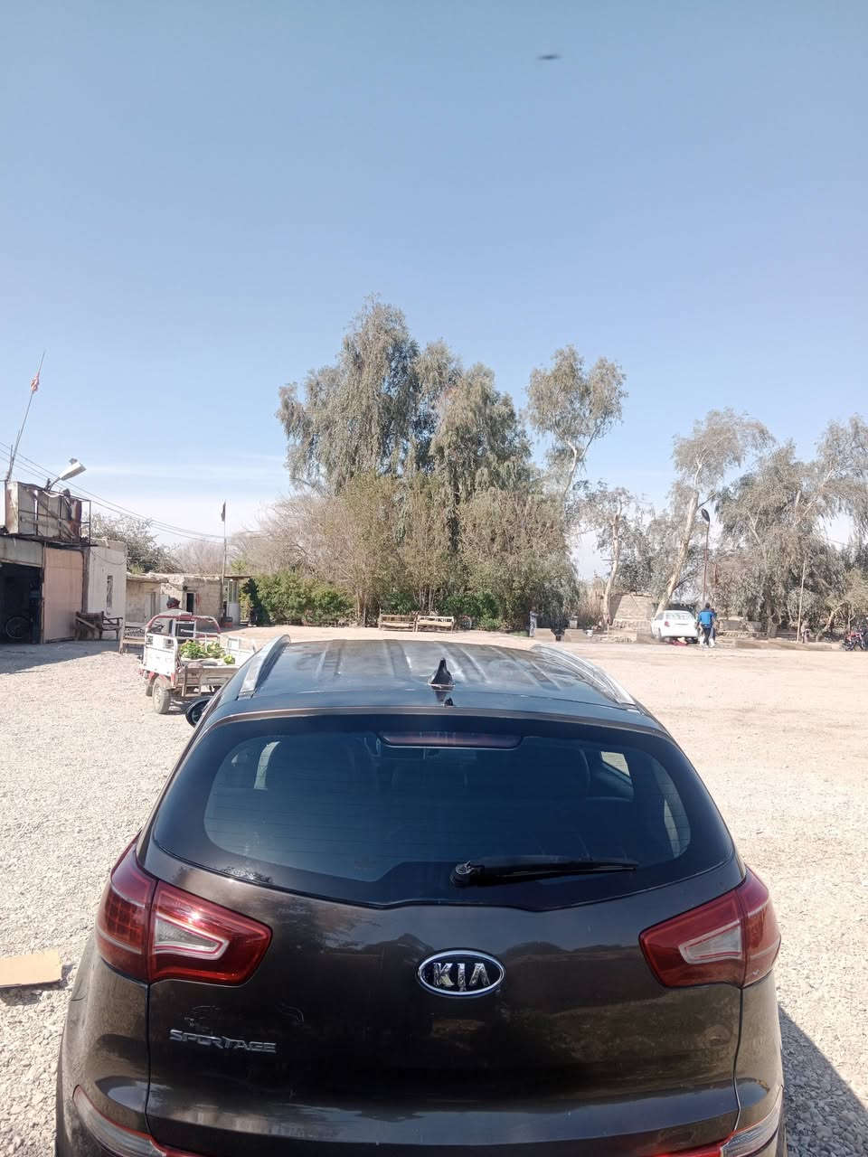 سبرتج رقم بغداد 2012 لبيع فقط السعر 140به مجال الطيبين تصال وتساب


**إذا كنت صاحب هذا الإعلان وتريد حذفه لأي سبب، رجاءا أرسل رسالة إلى الدعم الفني**