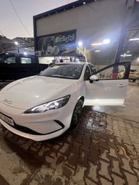 سيل 5 • ٥٠٠٠ كم • رقم بغداد