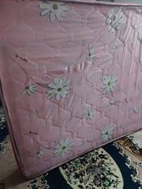 فراش اسفنج • نفرين • مدينة الصدر