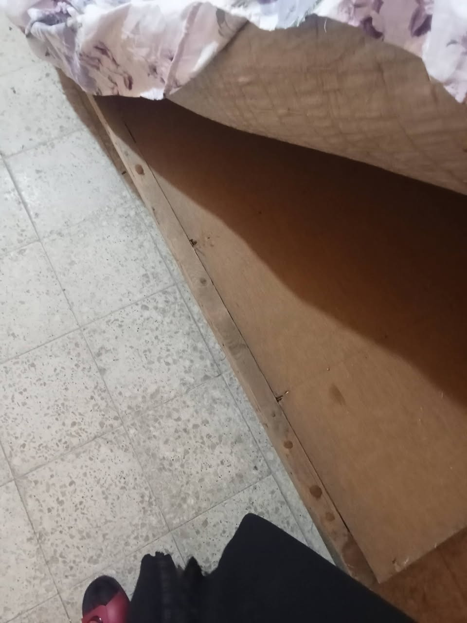 للبيع المشتل شارع مطبك


**إذا كنت صاحب هذا الإعلان وتريد حذفه لأي سبب، رجاءا أرسل رسالة إلى الدعم الفني**
