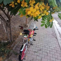 سيفان • ٢٠٢٤ • ماماشيه