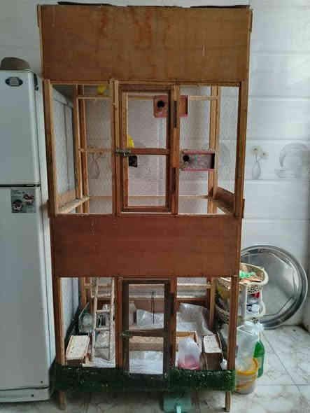 السلام عليكم قفص مع طيور حب 2امهات و2ذكورة
مع كواخة وماء مثل مواضح بالصورة
اما ابعاد القفص 2ونص اراتفاع تقريب والعرض 1وربع
***********
الخاجية شارع اربيعن قرب افران العراق وتدللون  احبتي الكرام
