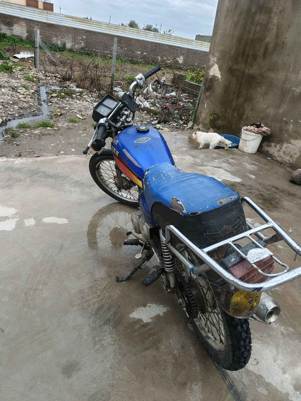 السلام عليكم هذا ايراني للبيع السعر 250 بمجال❤🫶


**إذا كنت صاحب هذا الإعلان وتريد حذفه لأي سبب، رجاءا أرسل رسالة إلى الدعم الفني**