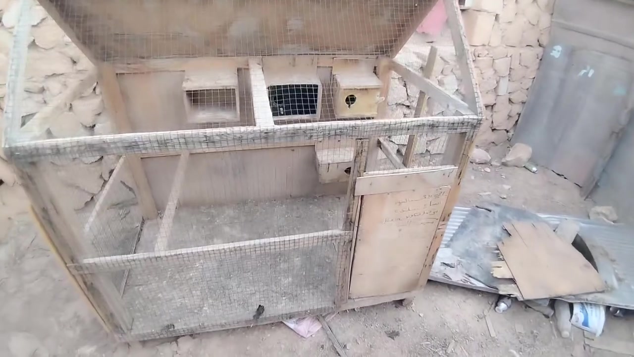قفص لبيع ما طيور حب يرهم كلشي جبير بي بيوت ما طيور  سعره 35


**إذا كنت صاحب هذا الإعلان وتريد حذفه لأي سبب، رجاءا أرسل رسالة إلى الدعم الفني**
