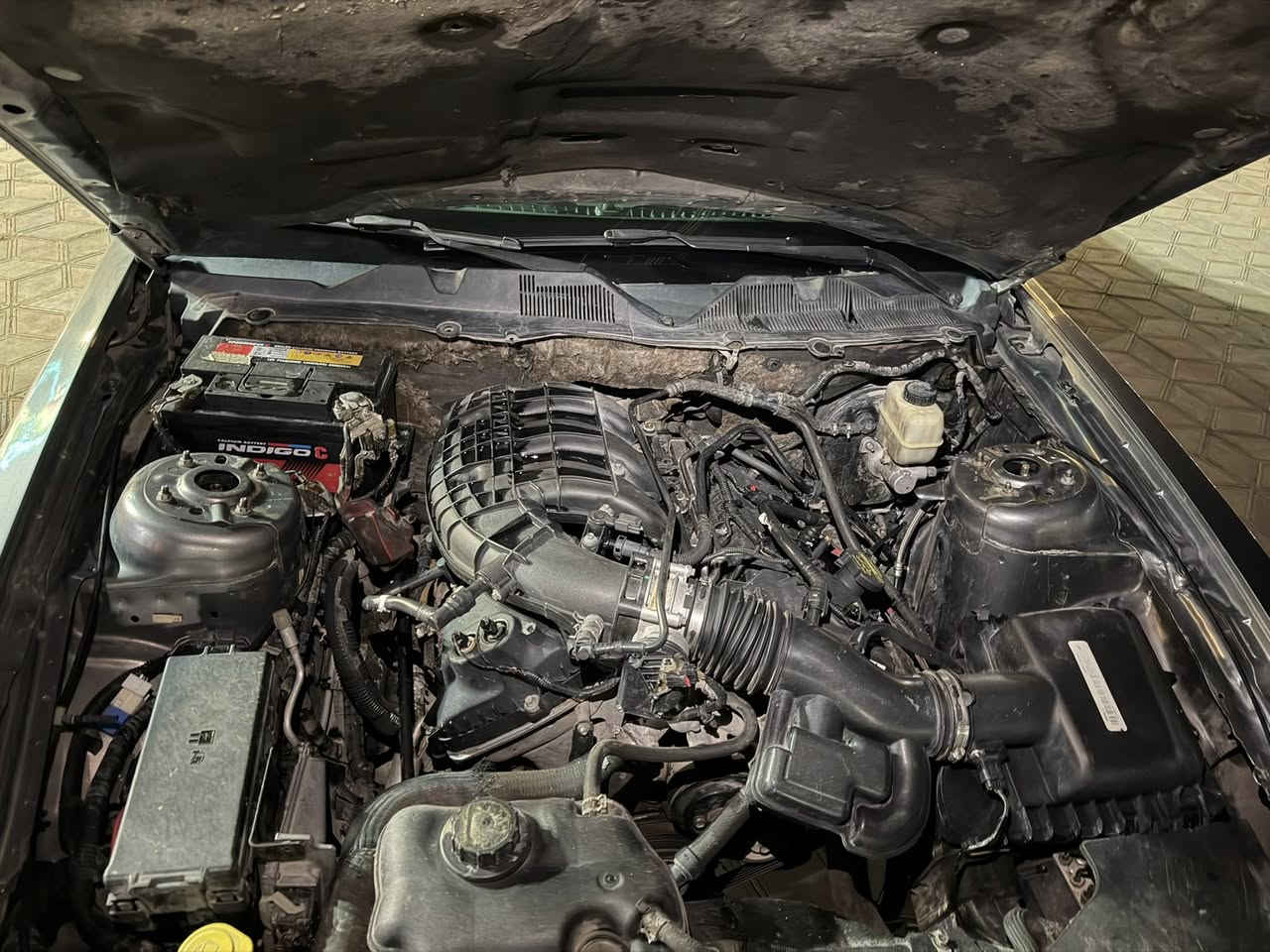 موستنك2012 برميوم
ويل 20 مكينه 6/3700 كير اوتو غرفه جلد احمر كشنات كهرباء تبريد تدفئة كله شغال عالي ناصي زارعلها عدسات كشف جديد مصار شهر من بدلته ادامه كامله لمنضومه الاحتراق بلكات ومجال ونوزلات كله جديد السياره بسعر البلاش ب68 ورقه وبيها مجال بسيط ***********
