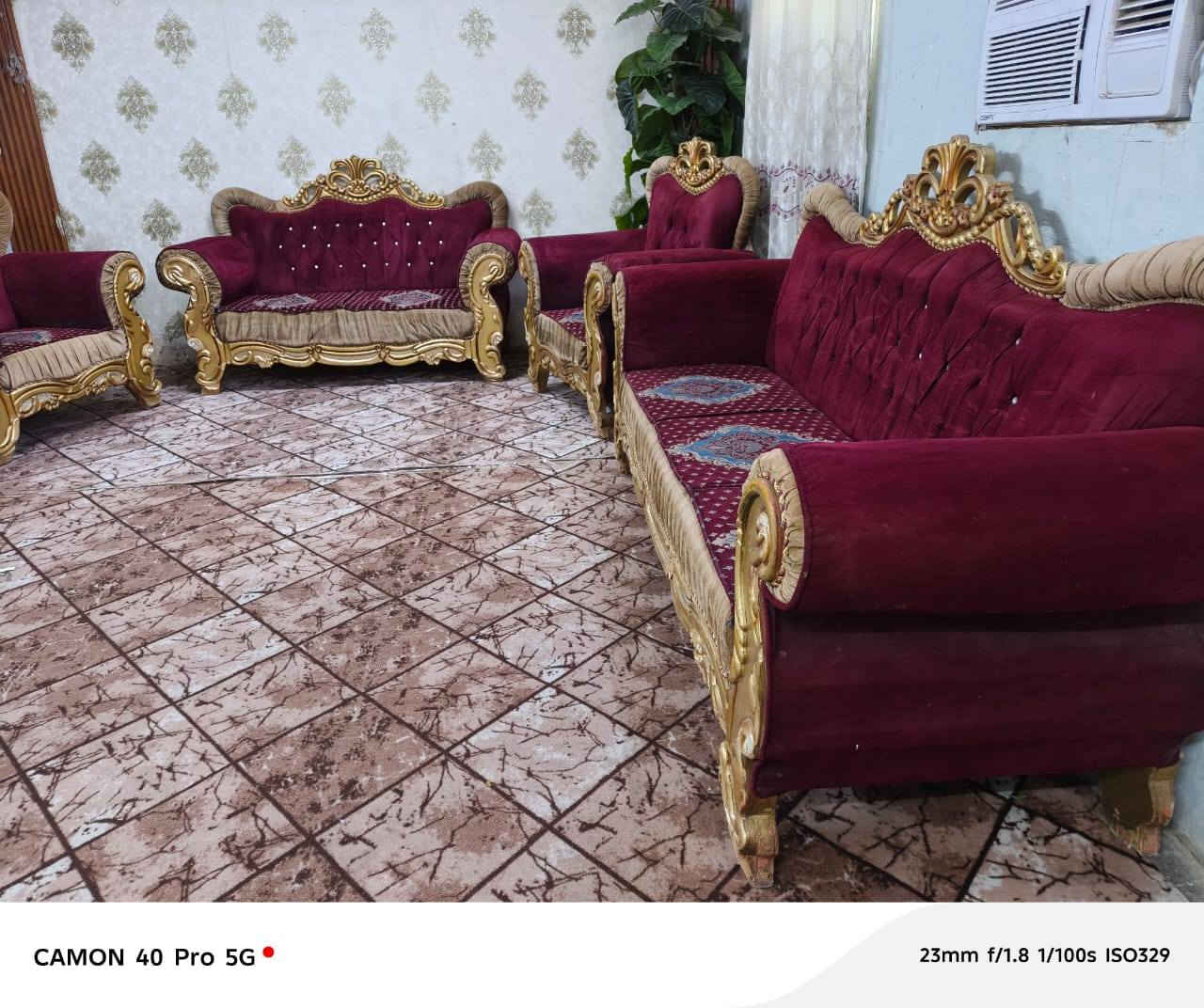 تخم ملكي 10 نفرات نضيف 240 المكان الكاظمية يوجد توصيل ***********
