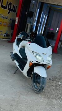 فورزا • ٠٨ • اوراق تعبانه