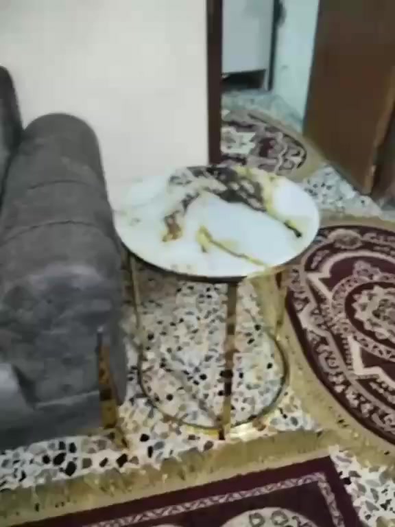 للبيع تخم 550 وميز طعام 100 وبيهن مجال 
شراي يدخل خاااص


**إذا كنت صاحب هذا الإعلان وتريد حذفه لأي سبب، رجاءا أرسل رسالة إلى الدعم الفني**