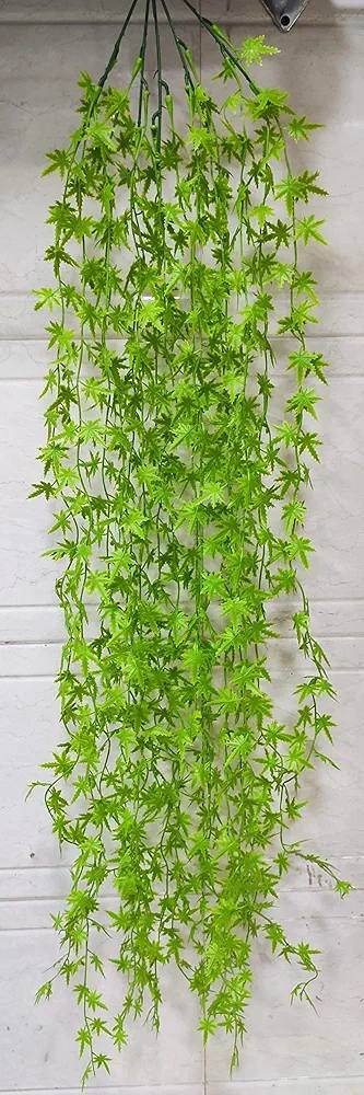 نباتات صناعيه /متدلي/متسلق/ورود/فازات
اسعار جمله تصفيه
توصيل داخل بسمايه الف


**إذا كنت صاحب هذا الإعلان وتريد حذفه لأي سبب، رجاءا أرسل رسالة إلى الدعم الفني**