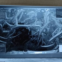 شاشة محمولة • ١٥.٦ بوصة • USB-C HDMI