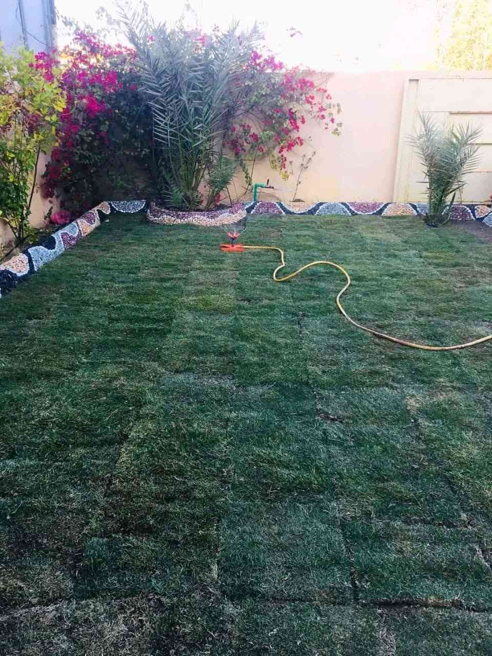 مستمرين بل ابداع
شغل حدائق منزليه
ب اسعار مناسبه


**إذا كنت صاحب هذا الإعلان وتريد حذفه لأي سبب، رجاءا أرسل رسالة إلى الدعم الفني**