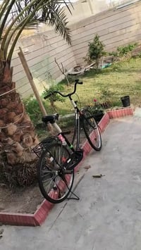 باسكل • موديل ٢٠١٩ • رميثة