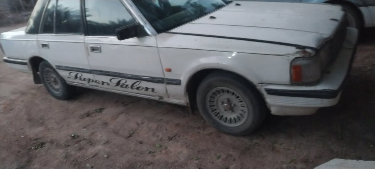 تفصيخ شتريد موجود السماوة الرميثة رقم الهاتف ***********تف
