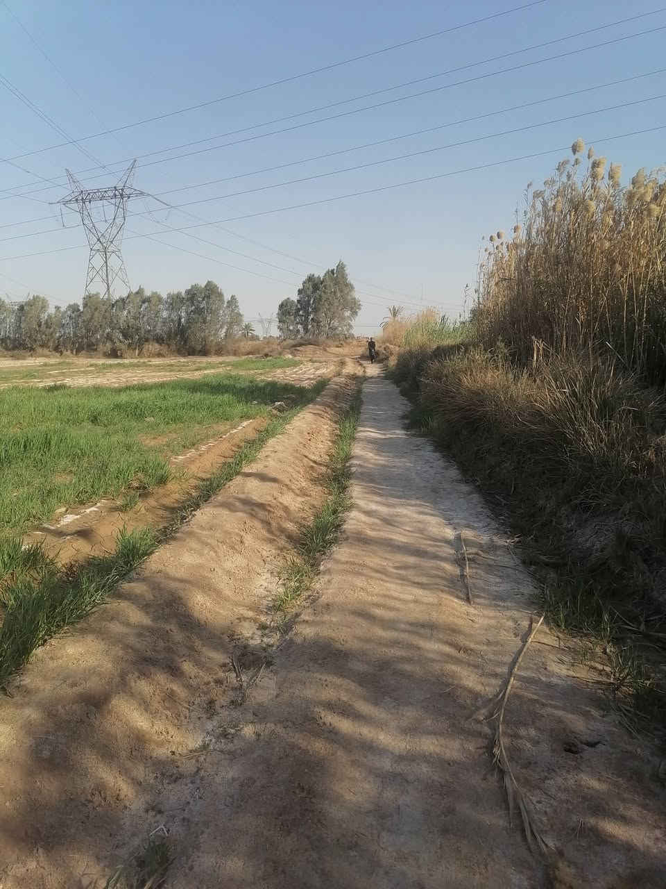 سلام عليكم كاع البيع ٨ دونم ماطور كاز وقرطاس بيتين واحد كامل تكدر تنزل بيه واحد عوزه بس كهرباءوالباخ وماء رساله ونهرسكي شتاء وصيفي بغداد نهروان تقاطع نهروان يم حسينية جعفر الصادق وكذالك سواق ماركت القمه سحب موجود مدرسة موجود تصل بيك خير ودلل ***********
