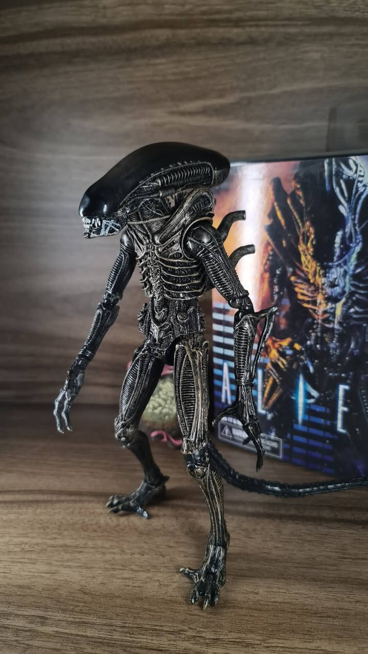 متوفر Neca Aliens action figures 🔥🔥🔥🔥
المجموعة الاولى
.
تزامنا مع صدور مسلسل Alien : earth 
نعرض لكم مجموعة مجسمات مفصلية من مختلف اصدارات السلسلة الشهيرة Alien
.
الاسعار للقطعة ٢٠ ألى٣٥ الف حسب القطعة 
للطلب مراسلة الصفحة 
.
توصيل لجميع محافظات العراق 
تابعوا الصفحة للاطلاع على باقي المجسمات التي سيتم نشرها🔥


**إذا كنت صاحب هذا الإعلان وتريد حذفه لأي سبب، رجاءا أرسل رسالة إلى الدعم الفني**