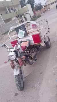 ستوته جمره • مديل 21 • اوراق كاملة