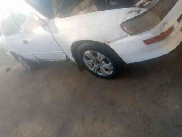 سلام عليكم كورلا موديل 93رقم انبار صاحبهه متوفي بيهه قسام شرعي وكاله سياره مگلوبه بيهه معجون لابخينهه بچف ومالج مكينه وگير زينات گير عادي السعر 19ورقه وبيهه مجال مكان الرمادي الشراي يتصل رقم الهاتف ***********
