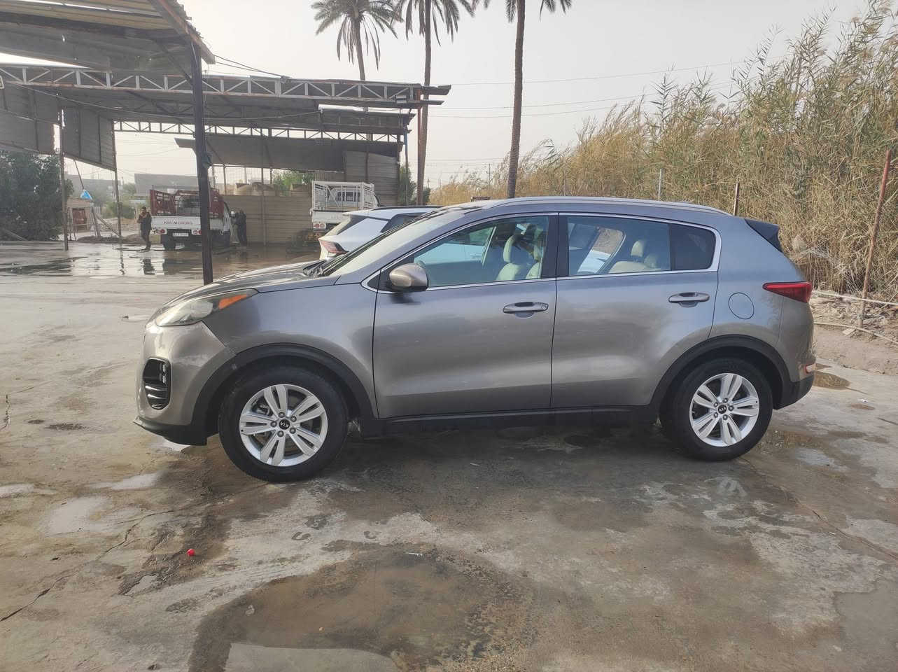 كيا سبورتاج 18 امريكي مكينه جي تي اي رقم بغداد دولي السياره جاهزه كير مكينه مكفول ضربه بسيط الجاملغ وربع بنيد مصلح ومصبوغ لا ماثر لغد ولاشاصي مضروب فقط ضربه بسيطه بالجاملغ وربع بنيد ومعمرات ومصبوغات فقط *********** السياره في الحله مكان
