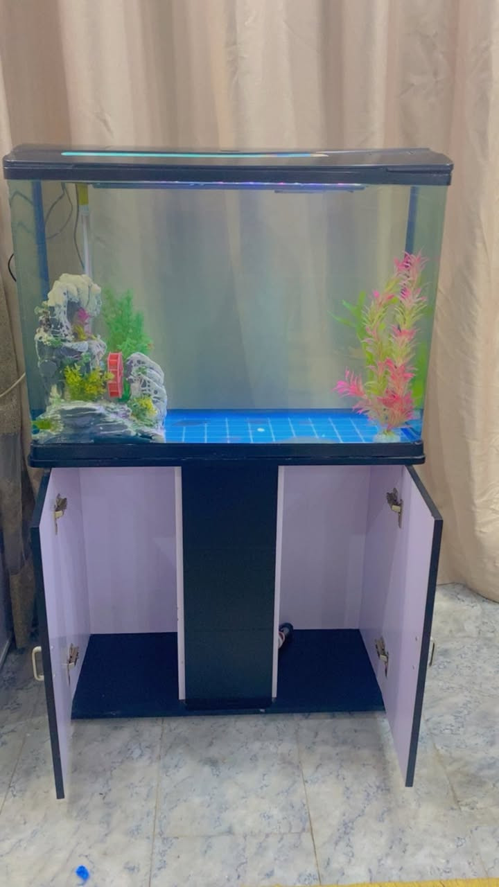 سلام عليكم شباب حوض 80 سم 
فول نظافة جاهز من كلشي 
فلتر// هيتر// جهاز اوكسجين// ديكور // ديباج
للبيع مكان السيدية تفاصيل اكثر خاص او الاتصال ***********
