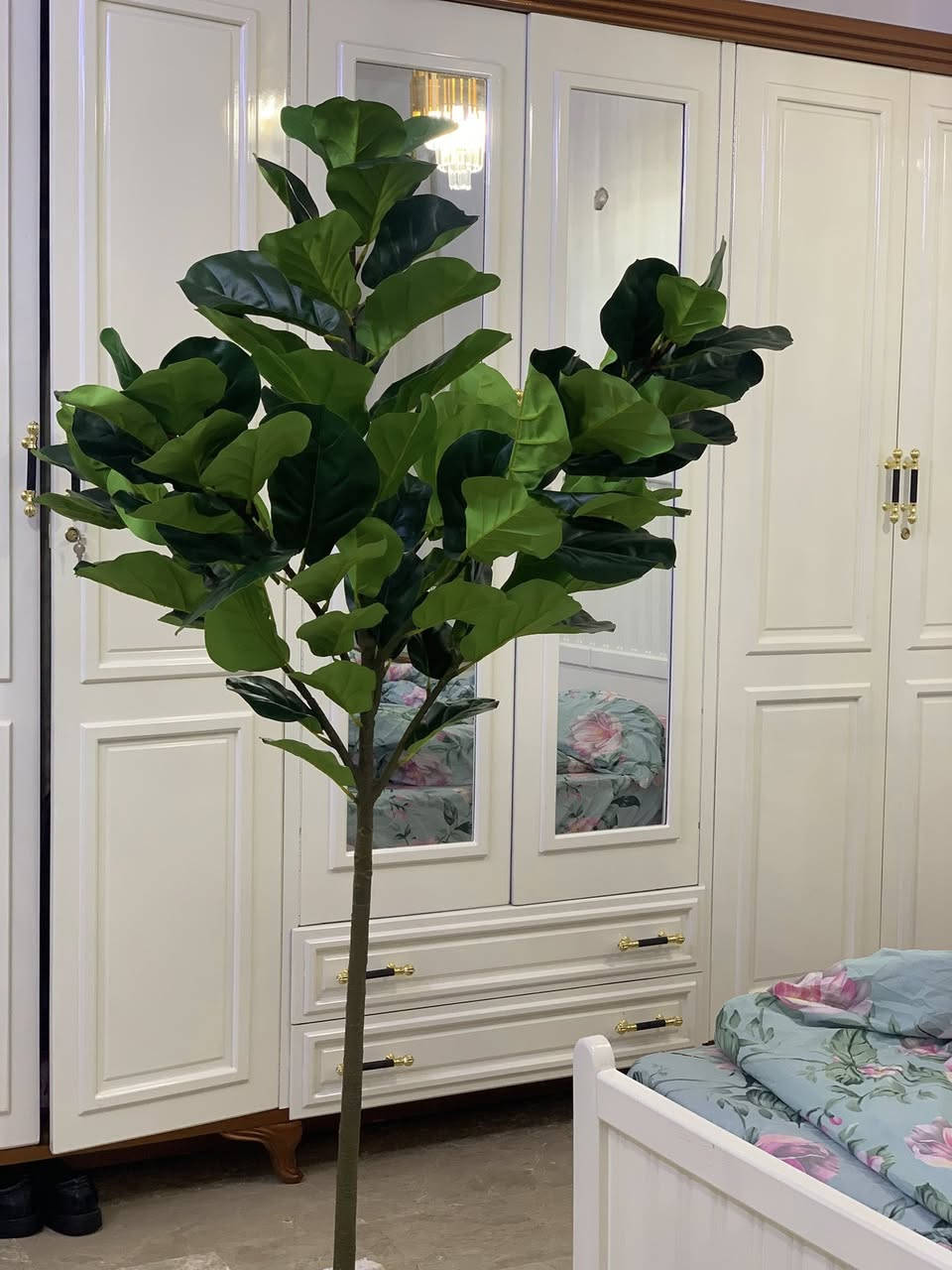 شجرة كبيرة طولها 190على اول تم 40الف


**إذا كنت صاحب هذا الإعلان وتريد حذفه لأي سبب، رجاءا أرسل رسالة إلى الدعم الفني**