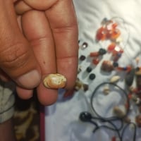 ملاقط • بني • اكسسوار