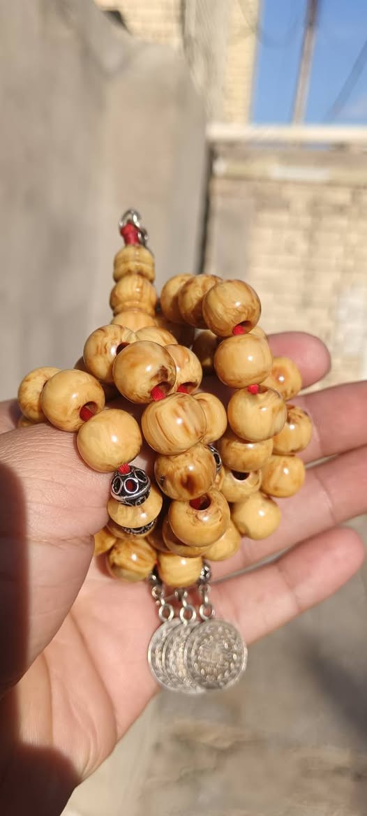 ألماني🇩🇪
للاستفسار ***********
