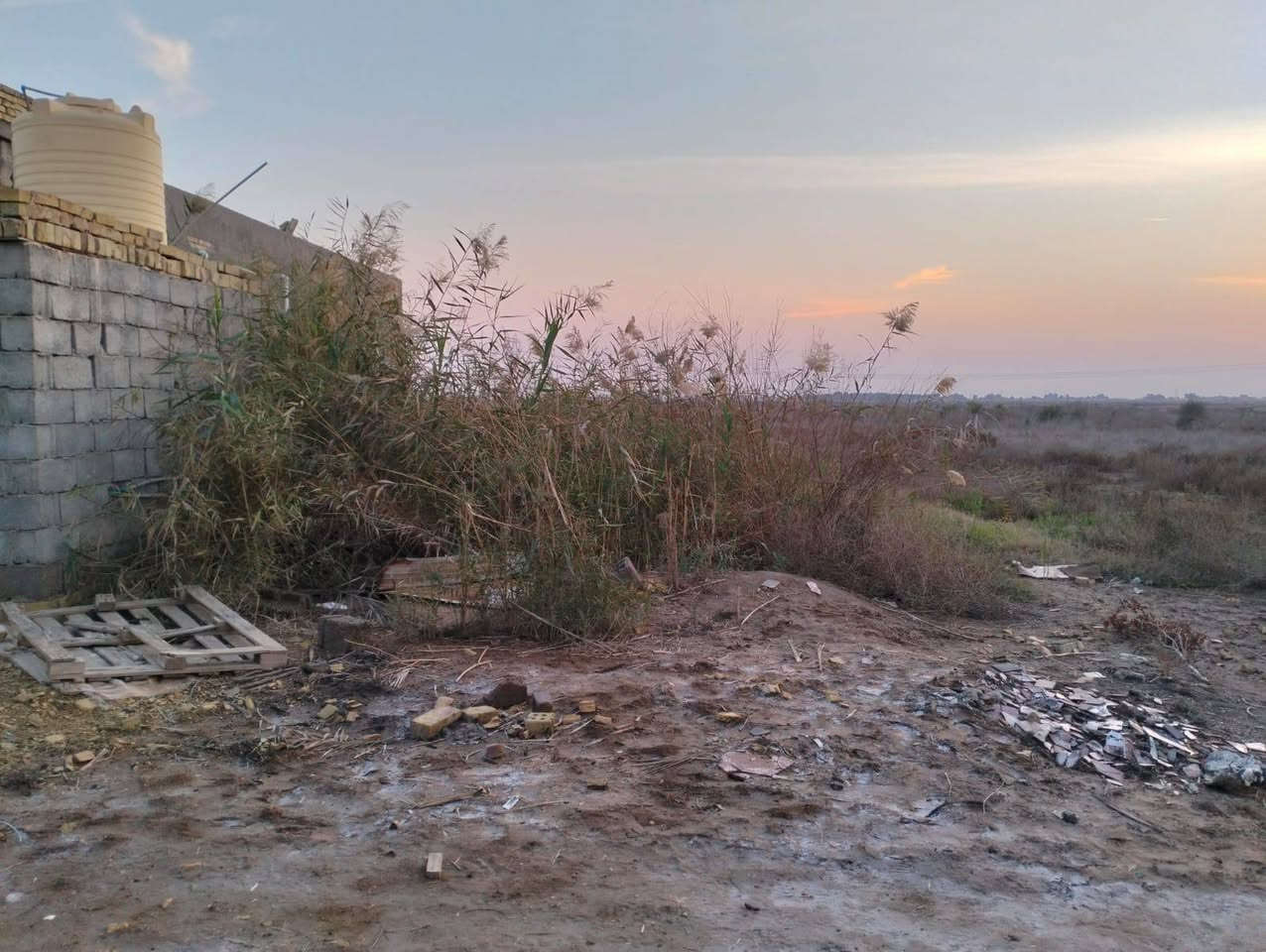 أرض زراعيه 3دوانم مع بيت 200متر جاهز للبيع منطقة البتيره قرب نهر دجلة الاتصال عل رقم ***********
