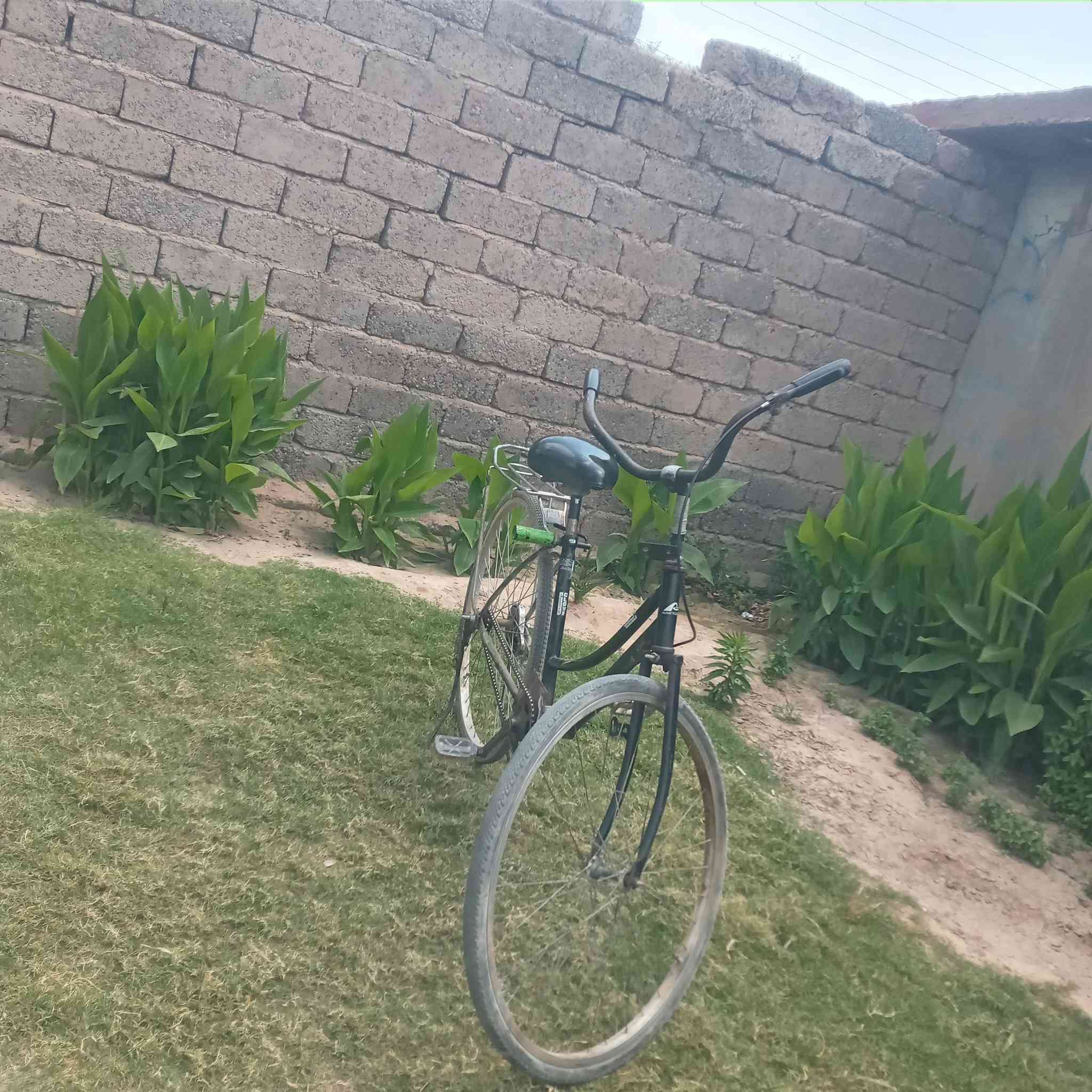 السلام عليكم بايسكل للبيع او مراوس شعندك نزل


**إذا كنت صاحب هذا الإعلان وتريد حذفه لأي سبب، رجاءا أرسل رسالة إلى الدعم الفني**