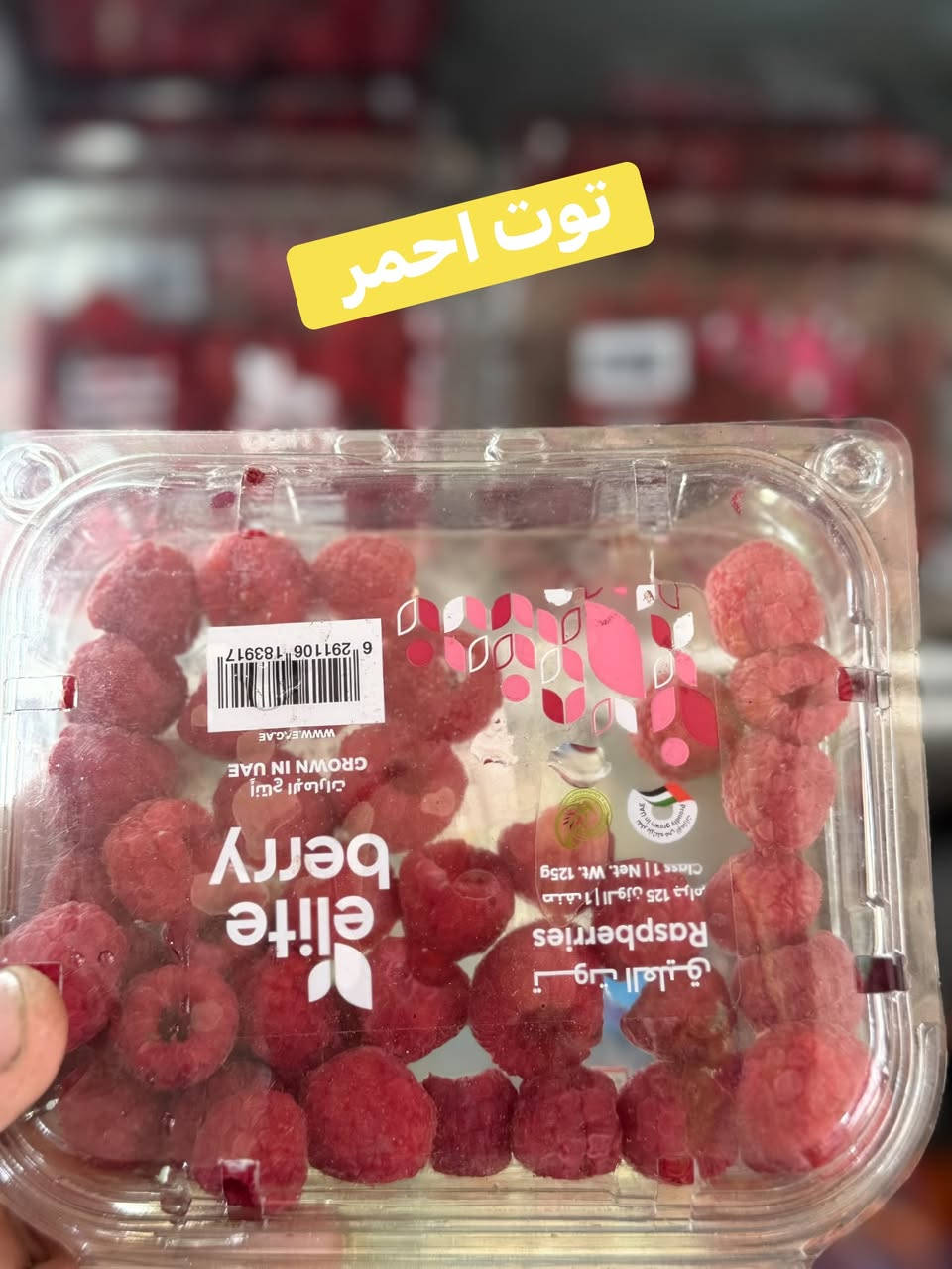 اللهم صلي على محمد وآل محمد يوم جديد زرع جديد بفضل الله وصل تمر البصره والتين العراقي والتوت الأحمر والاسود وجميع الفواكه الاستوائية والخضروات في علوة حي الموظفين يوجد خدمة توصيل *********** *********** واتساب
