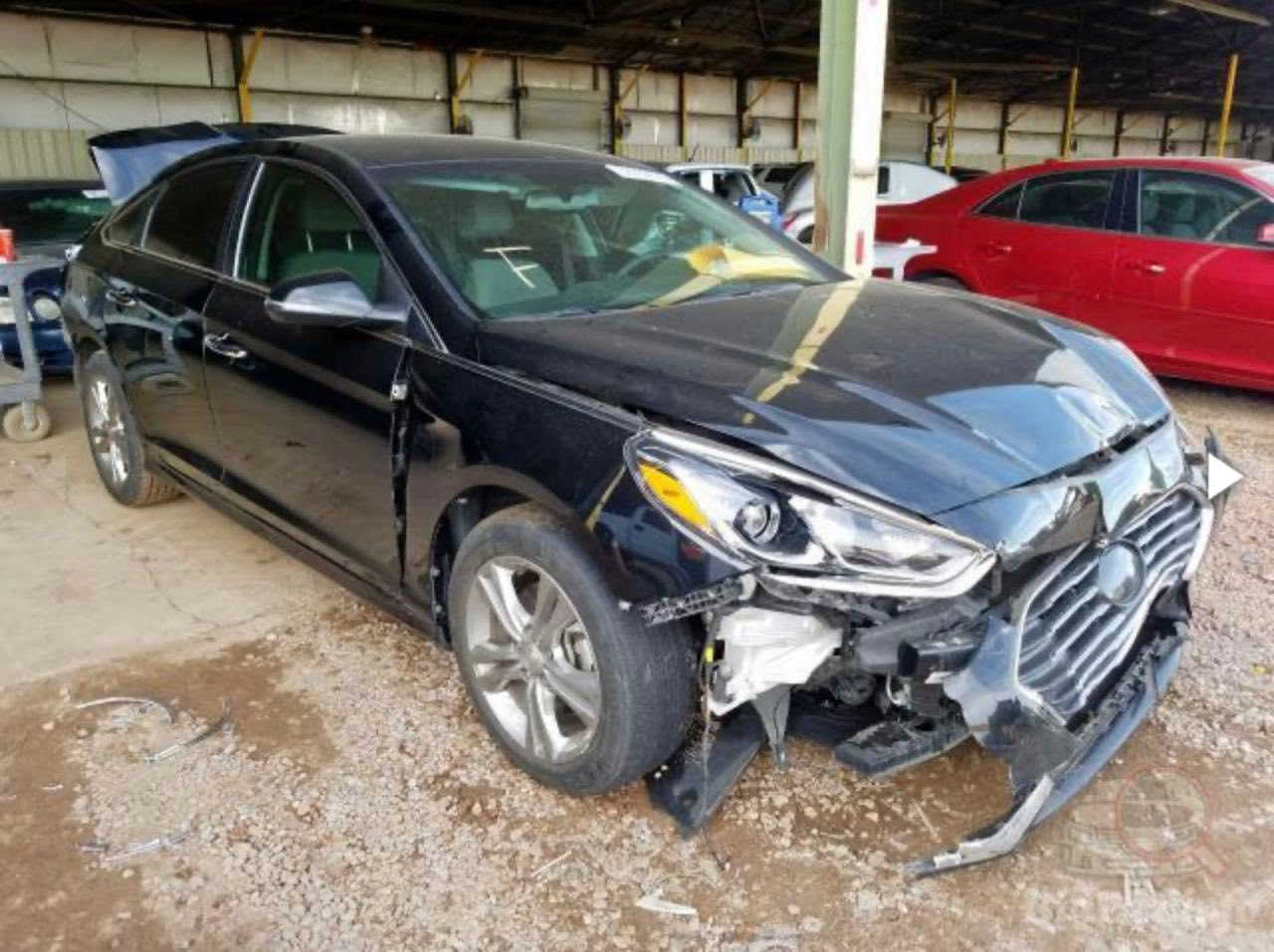 السلام عليكم (للبيع لان محتاج فلوس عملية زراعة كلى
 سوناتا 2018 هاي الصور والسيارة جاهزة
 معلي الگازكيت هم لا دوانز ولاتنقيص ولا تبخير
 ب اسمي تحويل ثاني
 يوم ماشية 83 الف 
فول عدا الفتحة 
118 وبيهة مجال حك الجية 
مكاني بغداد الشعلة 
***********
