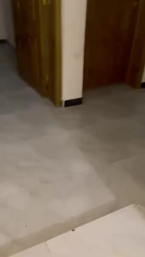 شقه  للايجار  
المساحة (100 متر  )  طابق اول
الموقع (حي الاسره ) 
عدد الغرف  2  غرف  واستقبال ومطبخ صحيات
السعر 350 الف  شهريا


**إذا كنت صاحب هذا الإعلان وتريد حذفه لأي سبب، رجاءا أرسل رسالة إلى الدعم الفني**