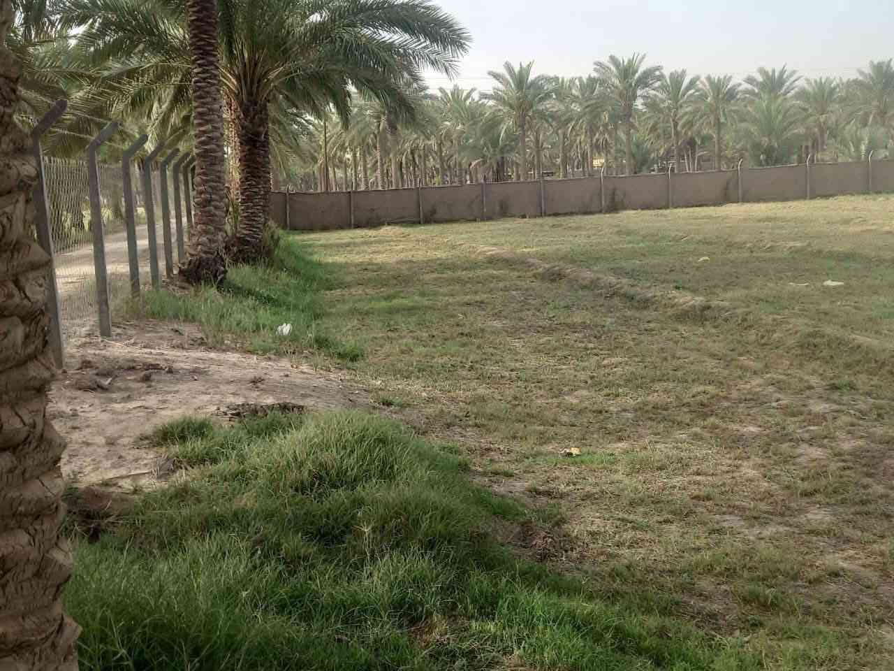 للبيع دونمين موقع مميز جدا على الشارع العام حله بغداد
الأرض طابو زراعي سند 25
موقع حله محاويل على الشارع العام مباشره قريبه من محطة وقود حي 17 تموز مايقارب 400 متر وقريبة من طريق مطار كربلاء المقدسة الجديد مايقارب 600 متر
واجهه الدونم 25 متر ونزال 100 متر وتحويلها في طابو المحاويل 
متوفر فيها كل الخدمات ماء أسأله وكهرباء وتبليط وقريبة على المدارس والأسواق والمستشفيات 
تصلح لأغراض تجارية استثماريةوسكنيه
الأرض مسيجه ومزروعه نخيل كما موضح بالصور 
الأرض تحويل مباشر من البائع ومفتوح فيها بيان 
الاستفسار والمعاينة والسعر التواصل على الواتس أب من الرابط التالي :
https://api.whatsapp.com/send/?phone=201040175849&text&type=phone_number&app_absent=0&wame_ctl=1
او على الأرقام :
***********

+201040175849
