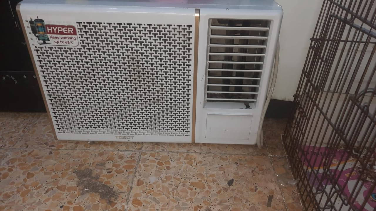 للبيع نظيفات جدا ما بيهن اي عطل ولا مصلحات شرط الفحص
البراد ٣٥ الف 
المجمده ١٠٠ الف 
المكيف ٤٠٠ الف 
السخان ٤٠ الف
العنوان بغداد_ الكفاح


**إذا كنت صاحب هذا الإعلان وتريد حذفه لأي سبب، رجاءا أرسل رسالة إلى الدعم الفني**