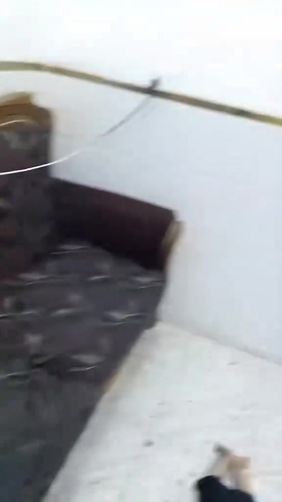 تخم ملكي فقط يحتاج غسل 8 مقعد السعر 250 وبي مجال بسيط العنوان بغداد الأمين الثانيه


**إذا كنت صاحب هذا الإعلان وتريد حذفه لأي سبب، رجاءا أرسل رسالة إلى الدعم الفني**