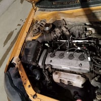 رقم كربلاء • مصبوغة • جير شرط