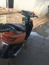 فراشه • من الوكيل • اوراق موجوده