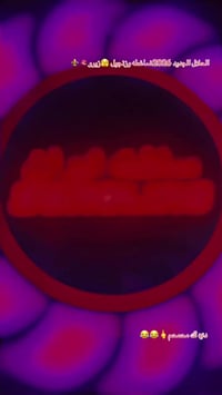 ‎.       دراجه يراني سونك  موديل 2026❗️ضاغطه وزنجيل ❗️مكينه 200cc    ‎...