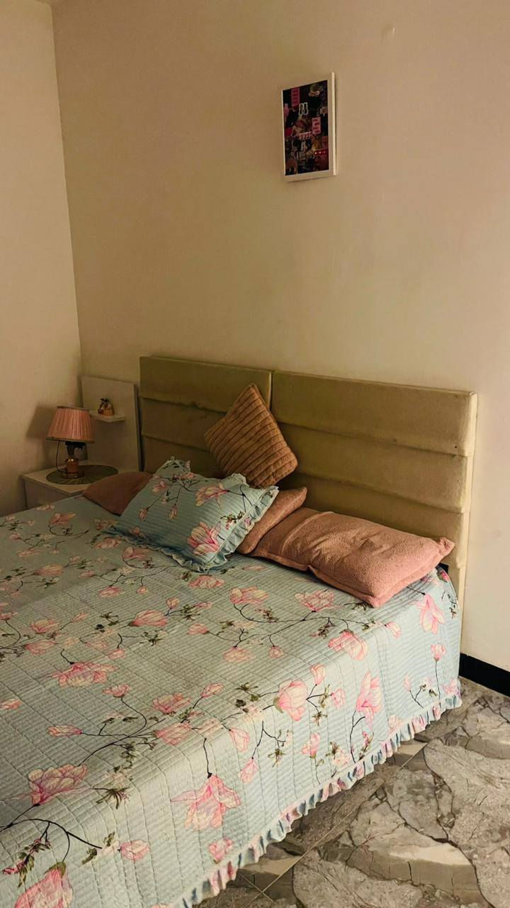 غرفه للبيع


**إذا كنت صاحب هذا الإعلان وتريد حذفه لأي سبب، رجاءا أرسل رسالة إلى الدعم الفني**