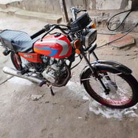 رابيدو • مديل 13 • اوراق اصلية