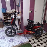 دراجة شحن • نضيف • دلي عباس حي العسكري