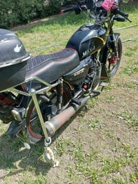 ماكس وان • ٢٠٢٤ • مكفوله