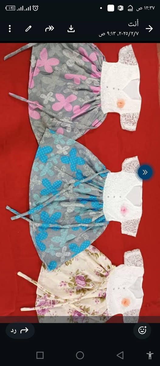 جملة فقط للحجز اتصل واتساب خدمة توصيل كافه المحافظات سارع بالحجز ***********
