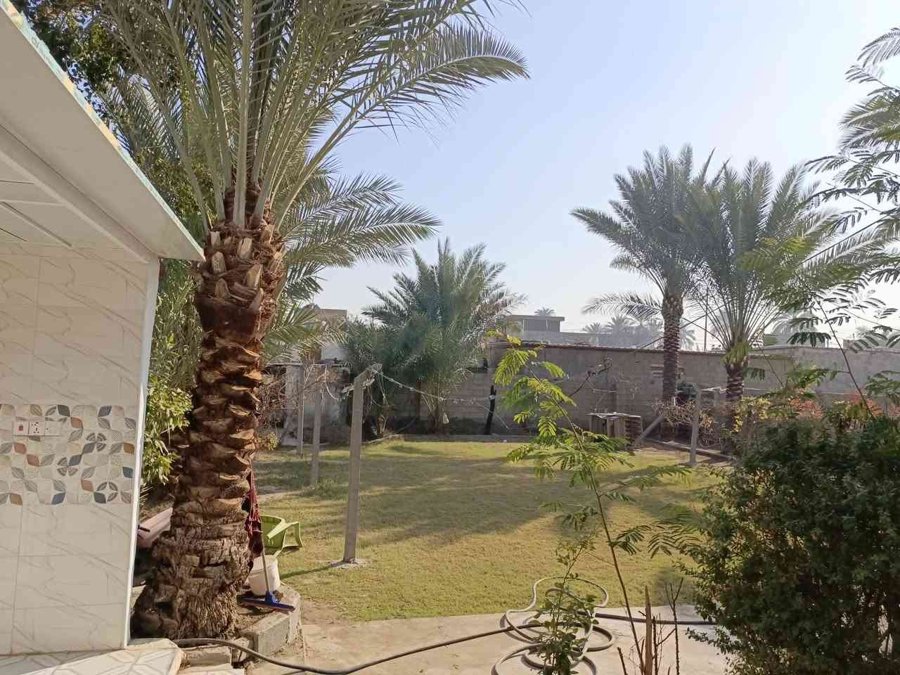 البيع بيت مساحه 820متر متكون من ثلاثه غرف نوم مطبخ وصاله واستقبال سند 17 زراعي الموقع خلف المحطه النيل ***********
