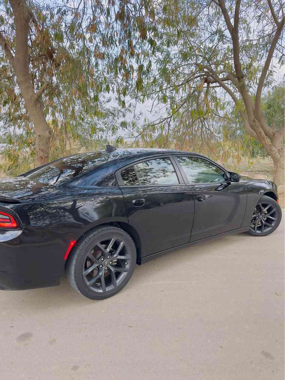 Dodge_charger
جارجر موديل 23 
وارد  امريكي 
كشن حضن
مواصفات معروفة 
تشغيل عن بعد 

بصمه ودخول ذكي
كشن كهرباء
حساسات  خلفي 
كامرة دوارة 
وبيه بعد مواصفات هوايه
مكينه بلكارتون
ماشية 40mi 

السيارة جديدة 
رقم دهوك بسمي 
سيارة بدون صبغ بدون تعديل بدون بارد كفاله عامه من كلشي حتى الدعاميات
فقط طخة زغيرة ب جاملق لخلفي 
وسياره مابيه نقص برغي 
العنوان بغداد 
سعر 265
للتواصل *********** بغداد, العراق
