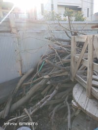 حطب • مشمش برتقال عنب • قضاء بلد