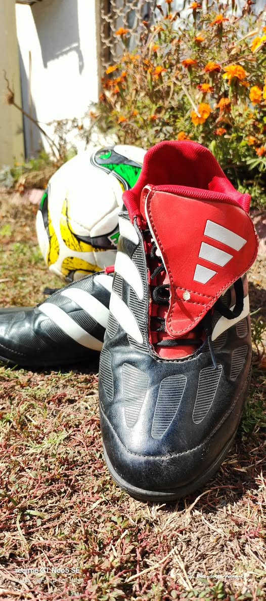 لابجين  ترتان ماستر كوالتي 

نسخة زيدان 

اخذته وطلع صغير

قياس 42

السعر50الف  .
@إشارة


**إذا كنت صاحب هذا الإعلان وتريد حذفه لأي سبب، رجاءا أرسل رسالة إلى الدعم الفني**