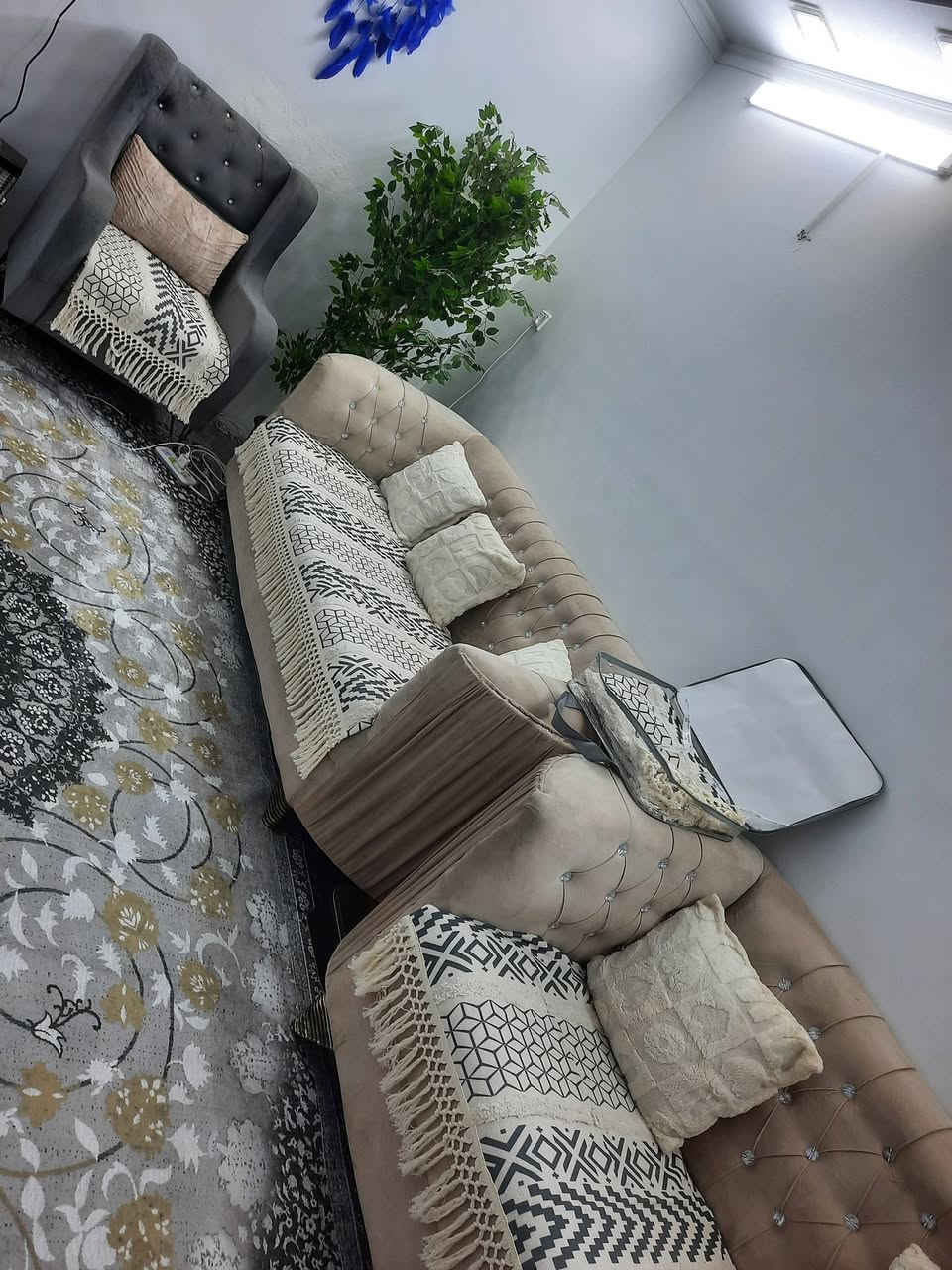 عندي هذاالتخم ٧مقاعد للبيع القنفه الكبيره يحتاج دوشمه نازله اريد ٣٥٠ مسويته توصاه موسوكي والله مكاني اعظميه


**إذا كنت صاحب هذا الإعلان وتريد حذفه لأي سبب، رجاءا أرسل رسالة إلى الدعم الفني**