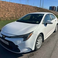 كورلا • ٢٠٢٢ • رقم اربيل