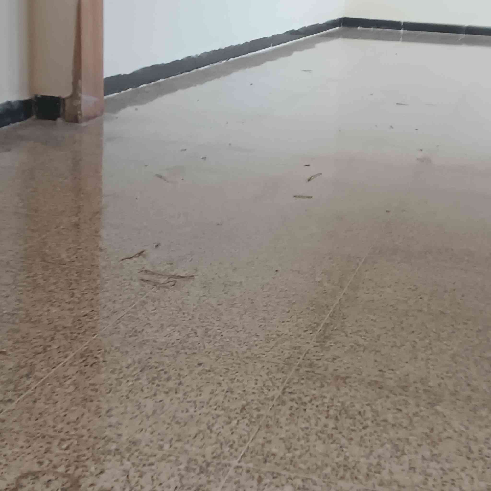 ابو احمد الفتلاوي لجلي الكاشي ومرمر طبيعي وتنظيف وتلميع كافة ارضيات رقم الهاتف ***********
