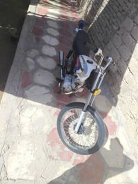 رابيدو • شاصي 22 • وراق سكنر